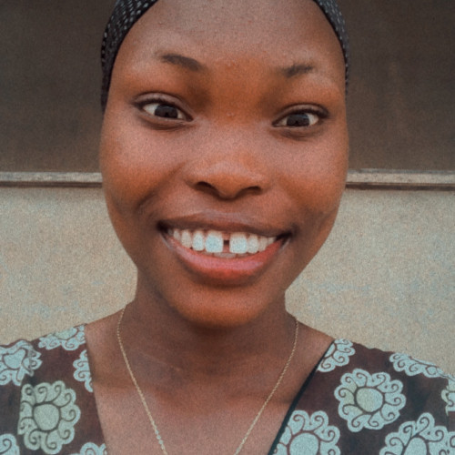 Salaudeen E. profile photo