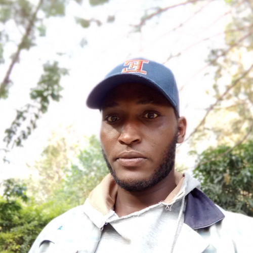 Dedan N. profile photo