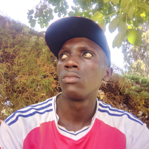 Solenko  N. profile photo