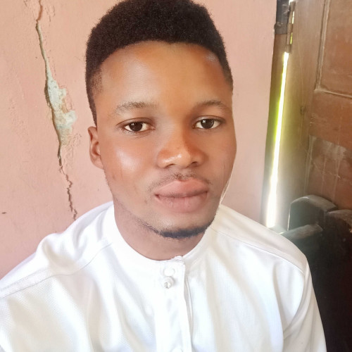 Olawale O. profile photo