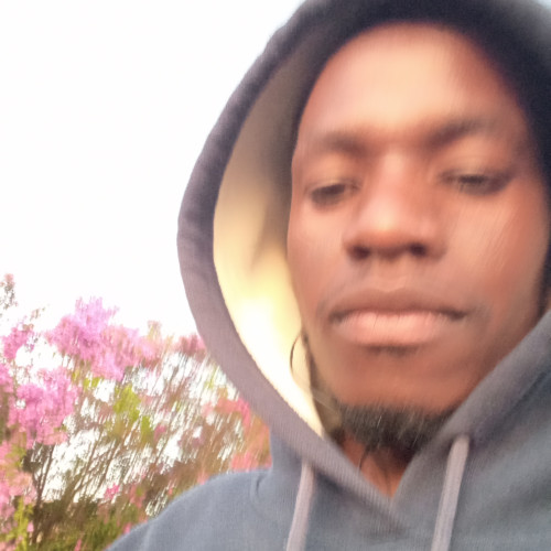 Henry N. profile photo