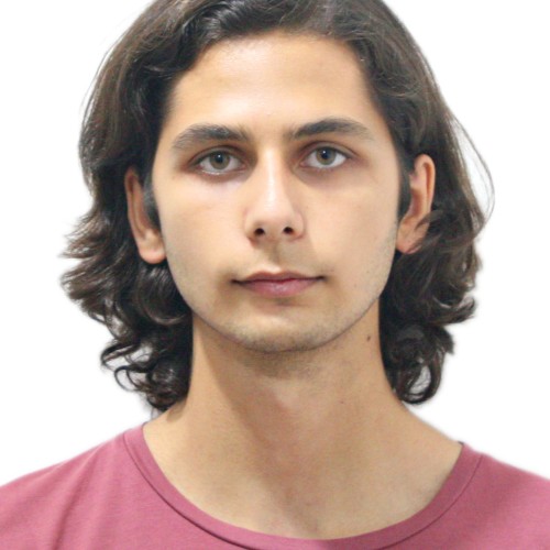 Nikoloz M. profile photo