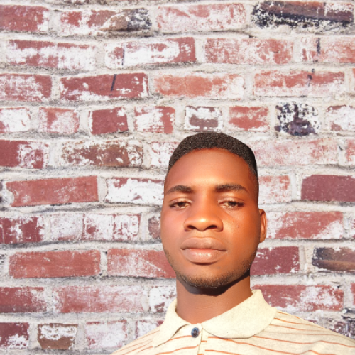 Fisayomi O.