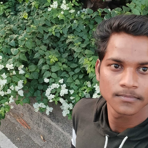 Satyam K. profile photo