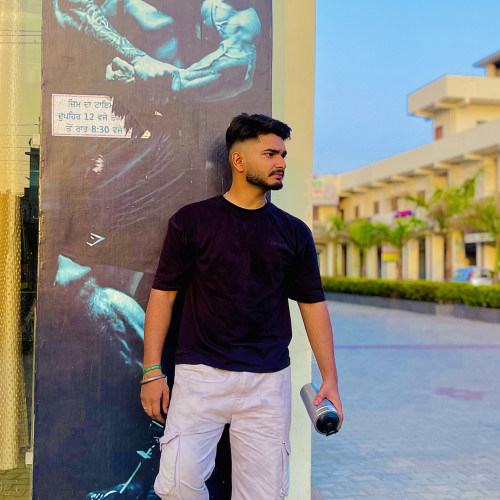 Arsh B. profile photo