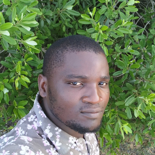 stephen m. profile photo