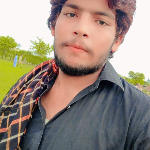 Shakeel A. profile photo