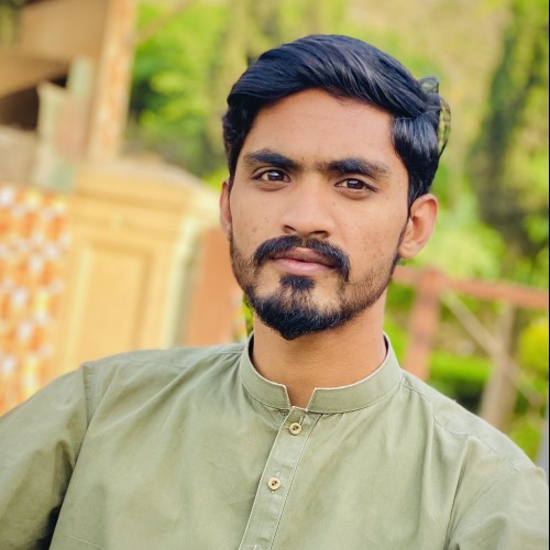 Ali R.