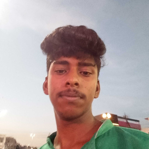 dilip s.