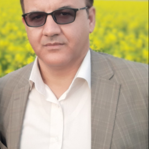 morteza n. profile photo