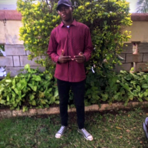 Albanus M. profile photo