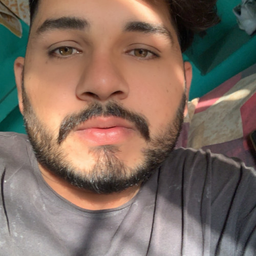 Ankit l. profile photo