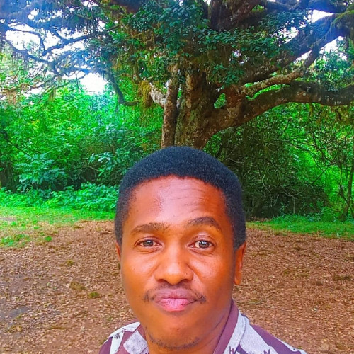 Antony K. profile photo