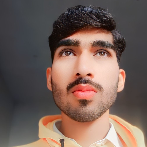 shahroz a. profile photo