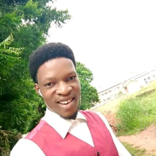 Babatunde S. profile photo