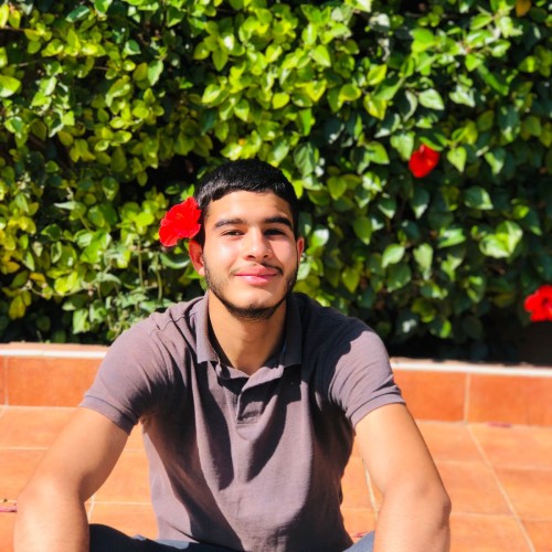 alae h. profile photo