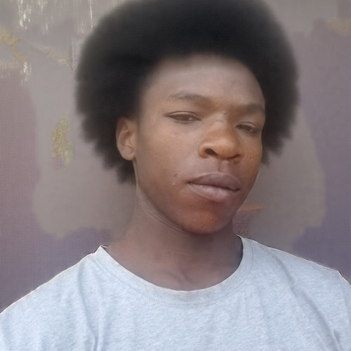 Steve  M. profile photo