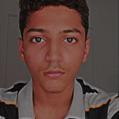 Mohammad S. profile photo
