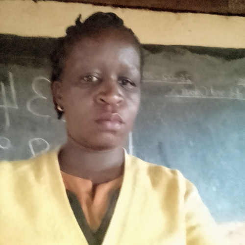 Nelly  A. profile photo