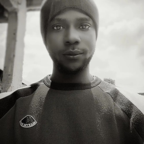 Olusegun  O.