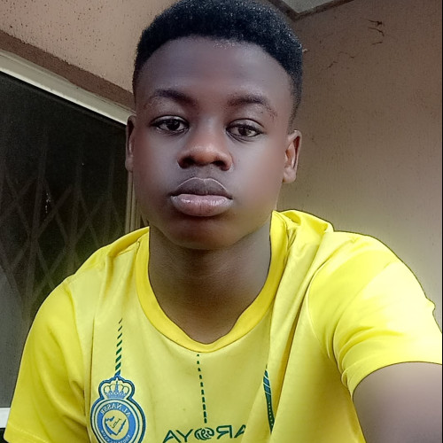 Adeoluwa  O. profile photo