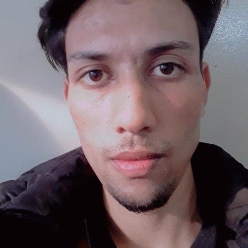 Amir F.
