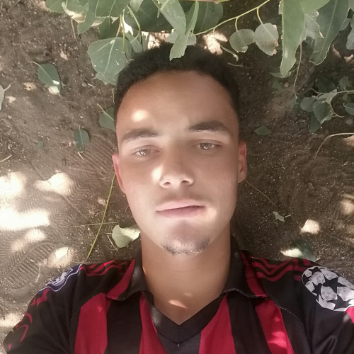 Mostafa E. profile photo