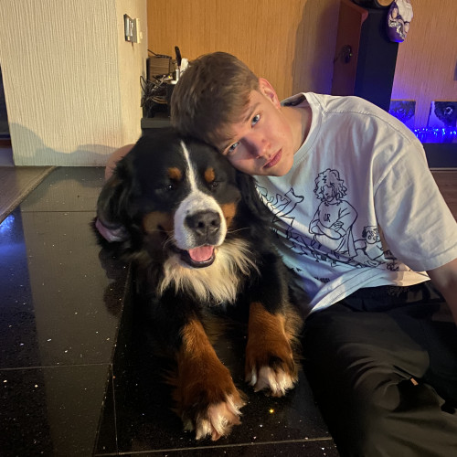 Arseniy P. profile photo