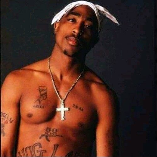 Alex M. profile photo