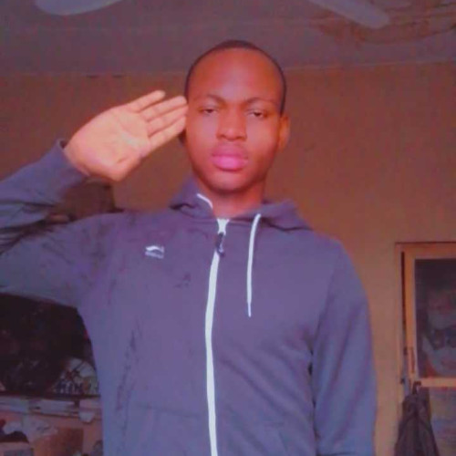 aarine n. profile photo