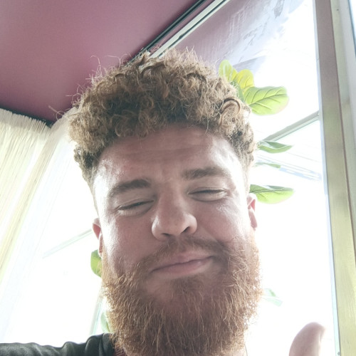 Dan M. profile photo