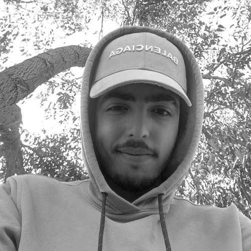 Noureddine  L. profile photo