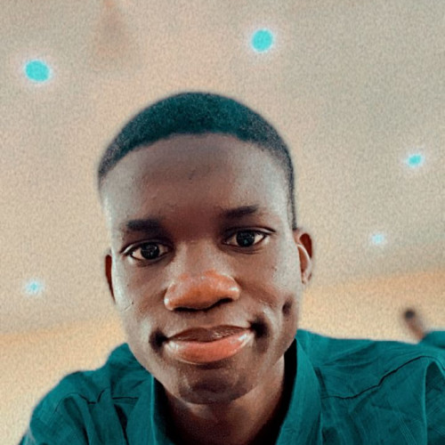 Ibrahim  R. profile photo
