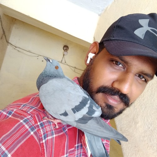 Venkata prasad N.