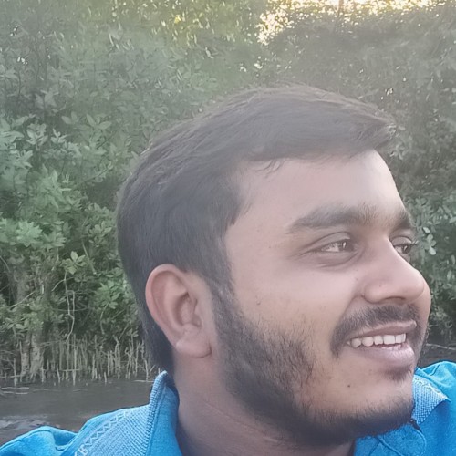 Md. Sariful  I.