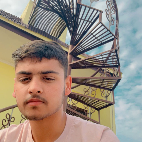 Manmeet s. profile photo