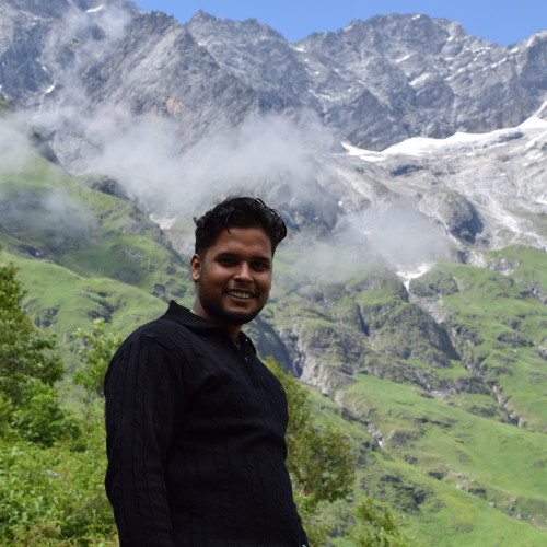 Devashish  P. profile photo
