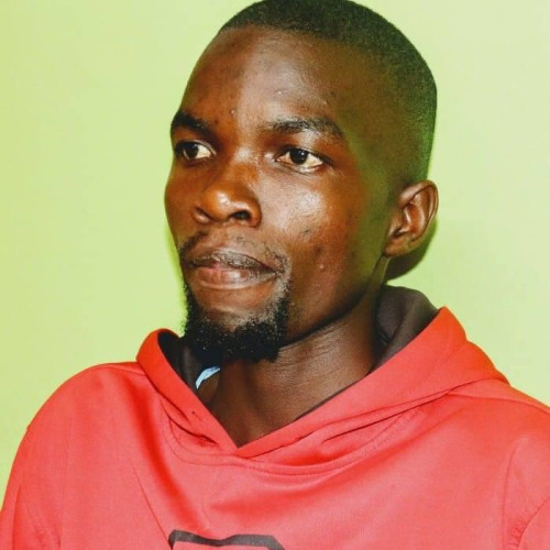 David N. profile photo