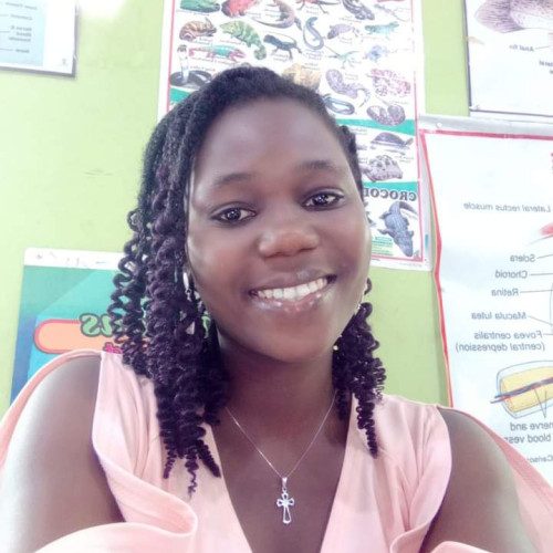 Chisom P.