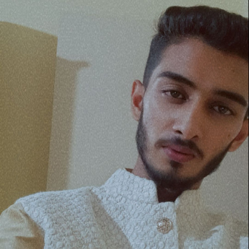 Vivek P. profile photo