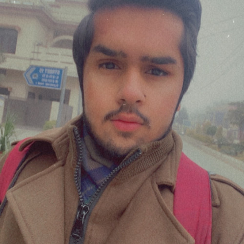 Alex  H. profile photo