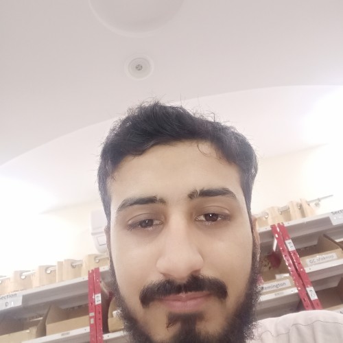 Hafiz Muhammad H.