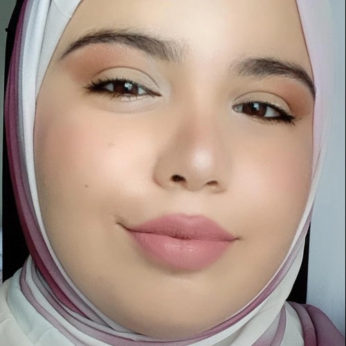 Noussayba H.