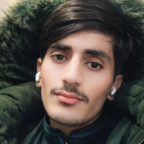 Shahzaib  A. profile photo