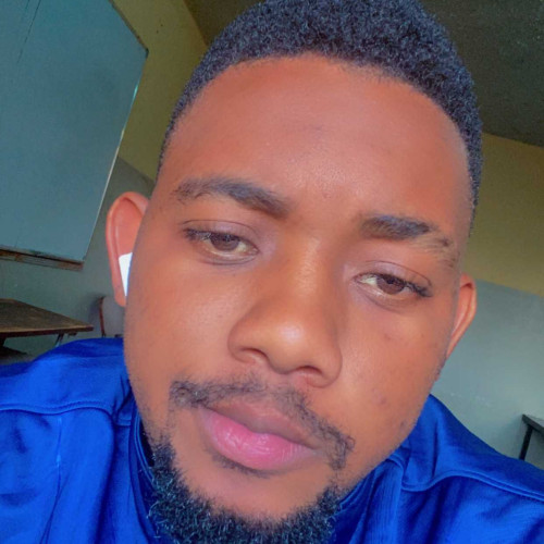 Steward K. profile photo