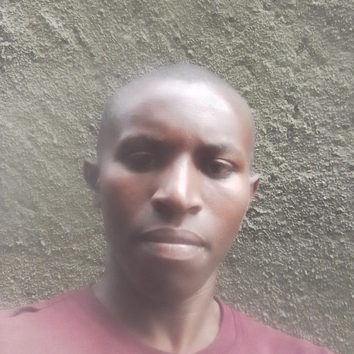 Dushimumukiza O. profile photo