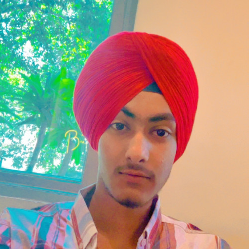 Manmohit  S. profile photo