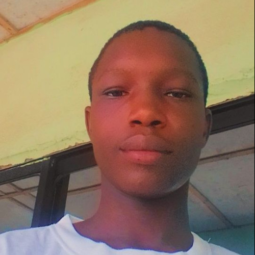 Levi  I. profile photo