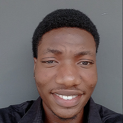 BABATUNDE B. profile photo