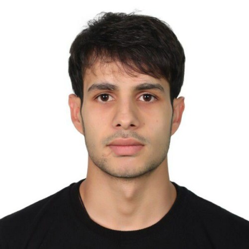 M Amir Hamza  A.